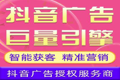 某某SEM团队成功案例：广告投放策略揭秘